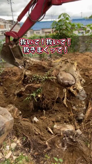 生命の凄さを目の当たりにしている。
根っこの凄さが身に沁みている。
手強すぎ。

#リノベーション #yutakaリフォーム #富田林市リノベーション #河内長野市リノベーション #