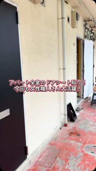 アパート全室、ドアシート貼り！
今回も女性職人さん大活躍！

#女性職人 #女職人